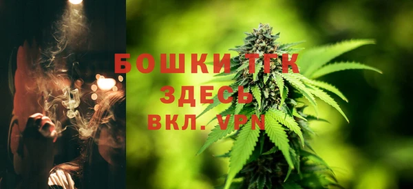 PSILOCYBIN Абаза