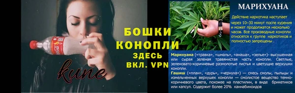 PSILOCYBIN Абаза