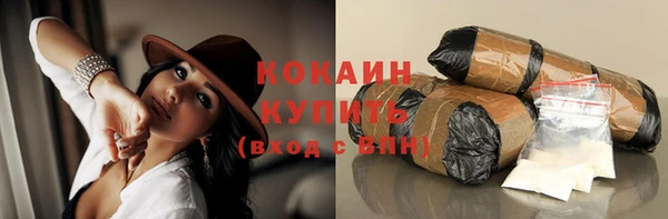 PSILOCYBIN Абаза
