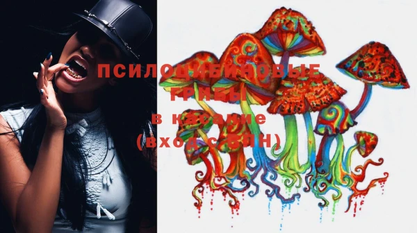 PSILOCYBIN Абаза