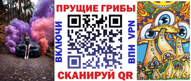 где можно купить наркотик  Шали  Псилоцибиновые грибы Psilocybe 